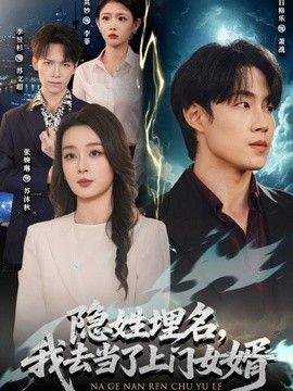 隱姓埋名，我去當了上門女婿海報
