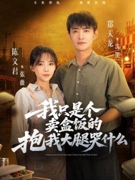 我只是個賣盒飯的抱我大腿哭什么海報