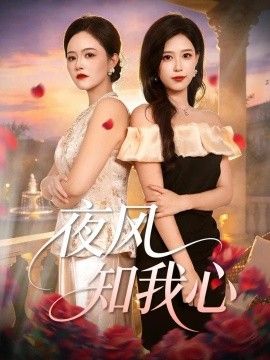 夜風知我心海報